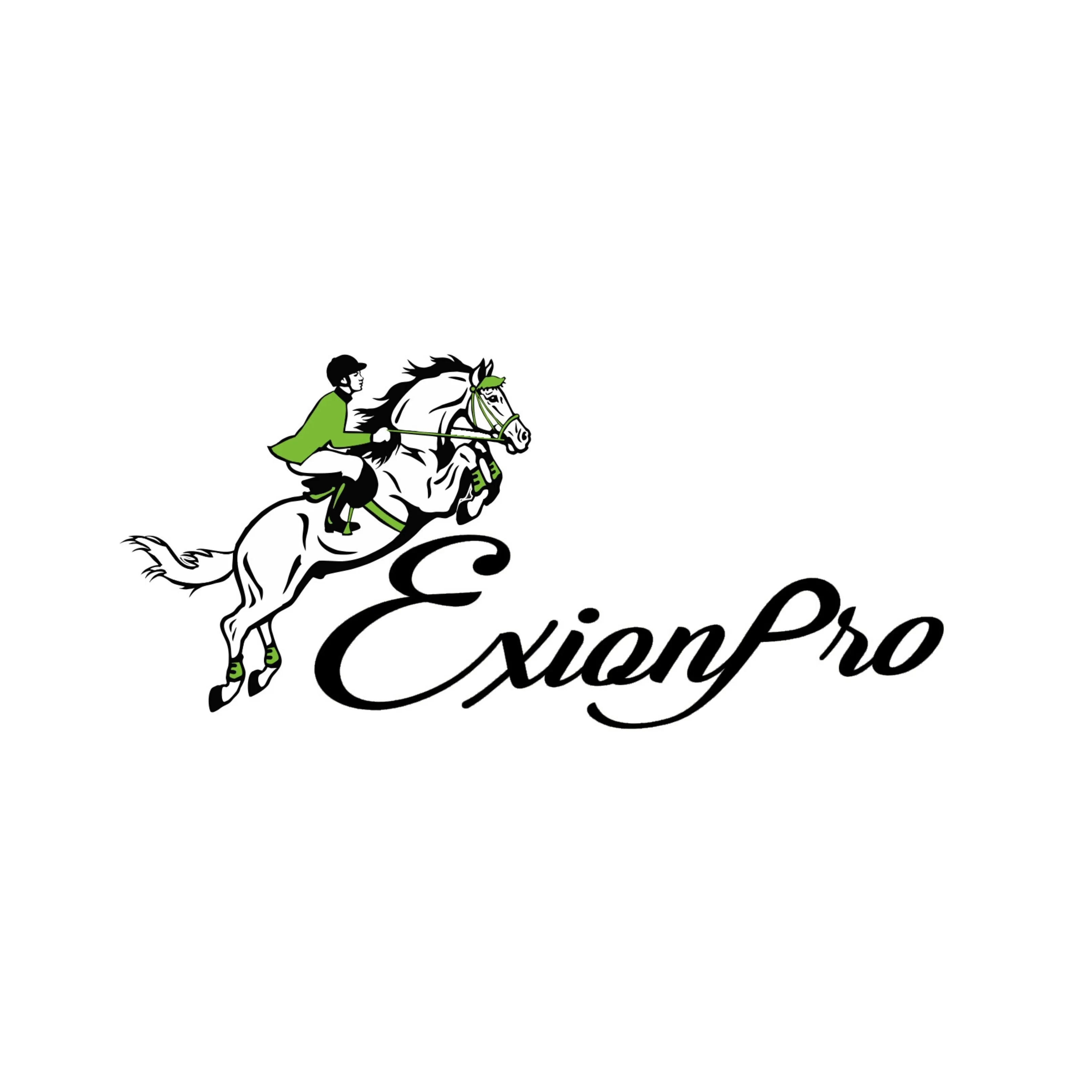 ExionPro English Spur Straps