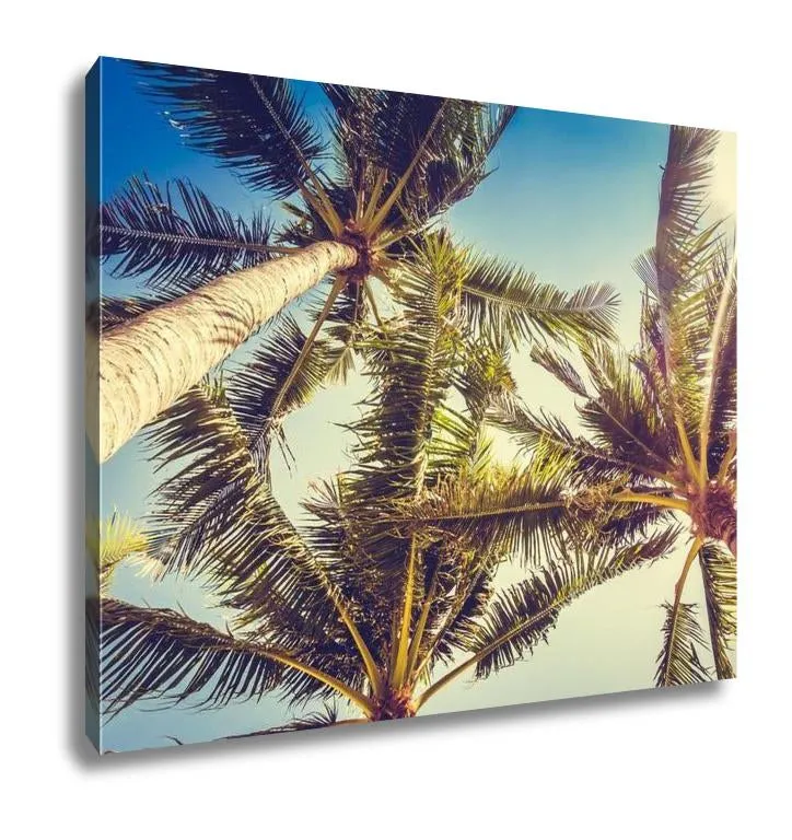 Gallery Wrapped Canvas, Coconut Palm Tree